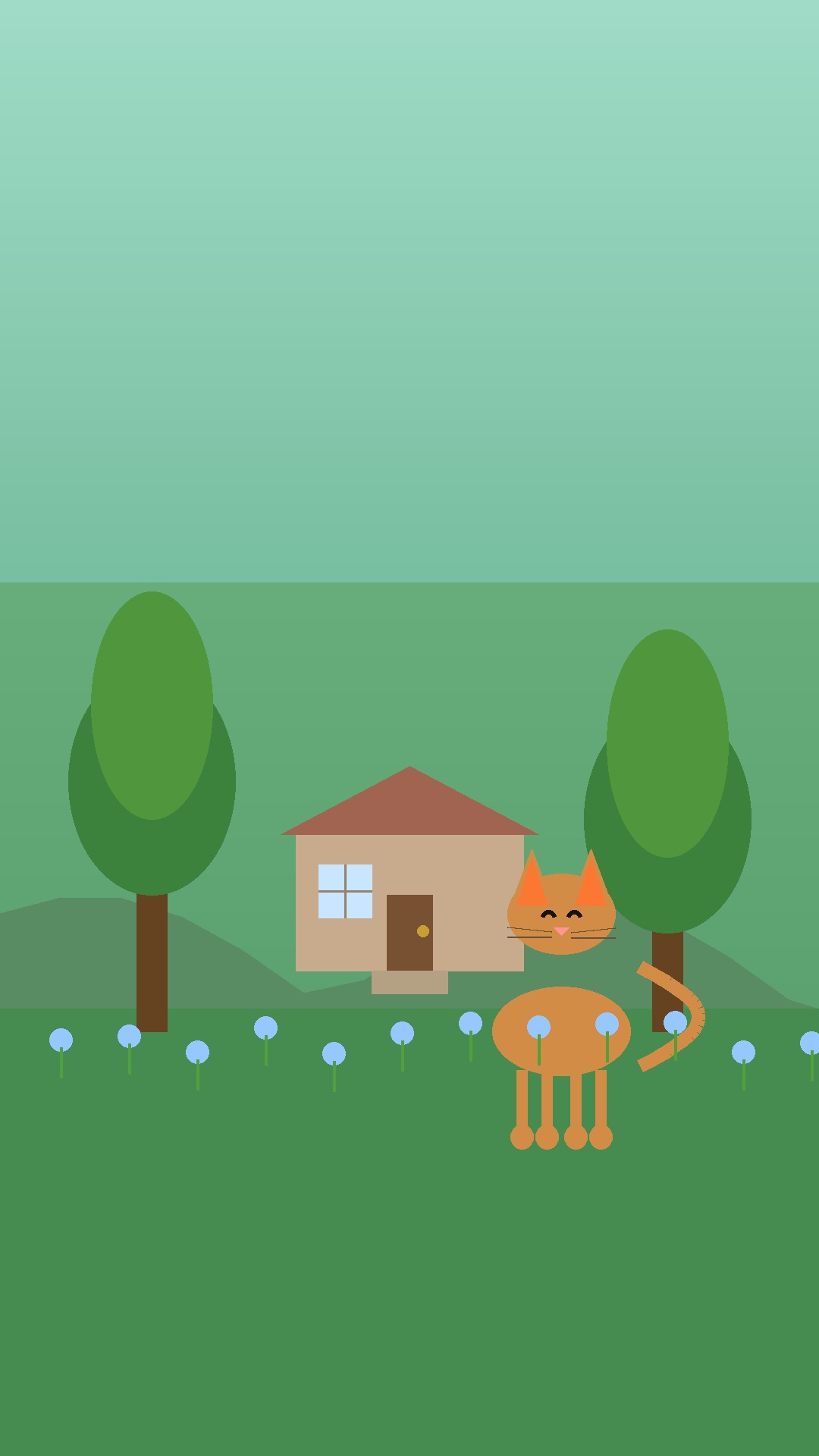 在一座小山村的边上，住着一只叫米米的小猫 封面