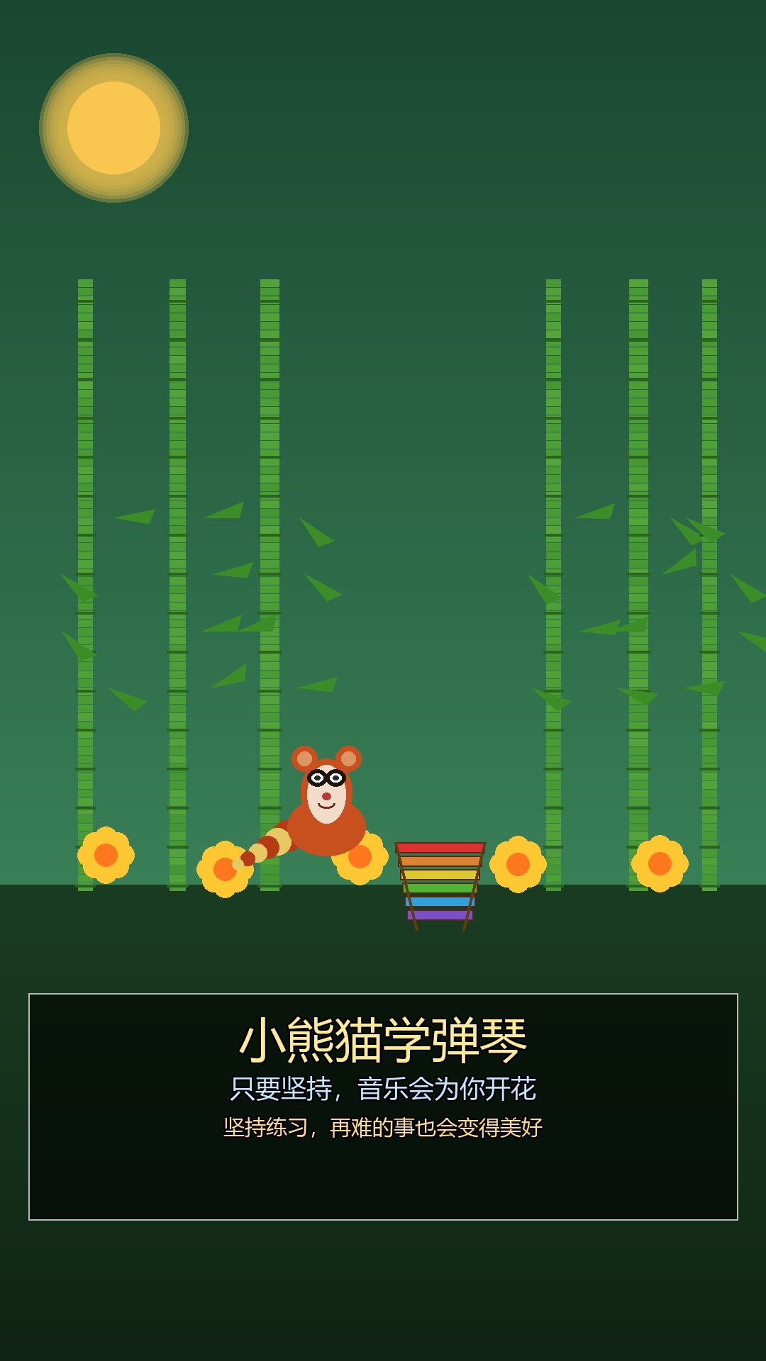 圆圆的故事 封面图